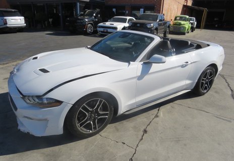 Picture of 2022 Ford Mustang