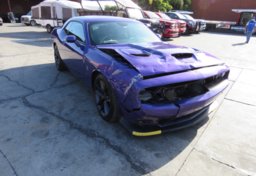 2019 Dodge Challenger - Thumbnail 3