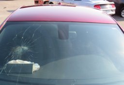 2019 Dodge Charger - Thumbnail 13