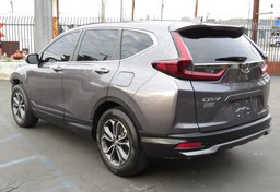 2020 Honda CR-V - Thumbnail 10