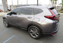 2020 Honda CR-V - Thumbnail 8