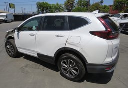 2020 Honda CR-V - Thumbnail 5