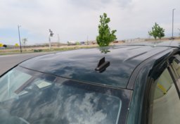 2014 Chevrolet Silverado 1500 - Thumbnail 13