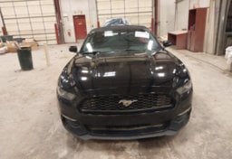 2017 Ford Mustang - Thumbnail 3