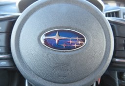 2019 Subaru Crosstrek - Thumbnail 32