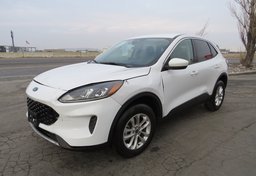 2020 Ford Escape - Thumbnail 3