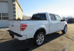 2013 Ford F-150 - Thumbnail 8