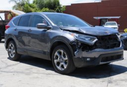 2019 Honda CR-V - Thumbnail 4