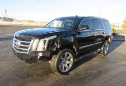2015 Cadillac Escalade - Thumbnail 1