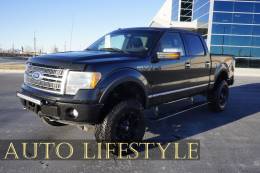 2011 Ford F-150