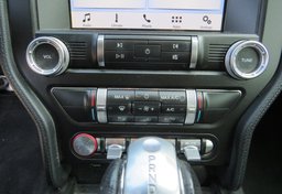 2019 Ford Mustang - Thumbnail 30