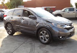 2019 Honda CR-V - Thumbnail 4