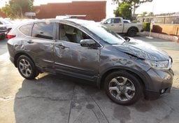 2019 Honda CR-V - Thumbnail 2