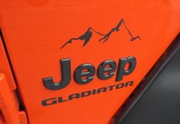 2020 Jeep Gladiator - Thumbnail 19
