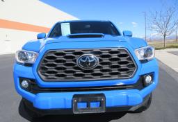 2021 Toyota Tacoma - Thumbnail 13
