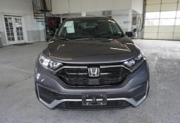 2021 Honda CR-V - Thumbnail 12