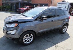 2019 Ford EcoSport - Thumbnail 2