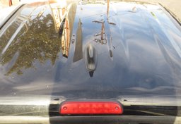 2019 Toyota Tacoma - Thumbnail 12