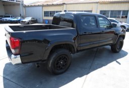 2019 Toyota Tacoma - Thumbnail 5