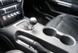 2020 Ford Mustang - Thumbnail 30