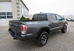 2020 Toyota Tacoma 4WD - Thumbnail 6
