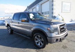 2013 Ford F-150 - Thumbnail 4
