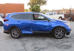 2020 Honda CR-V - Thumbnail 6