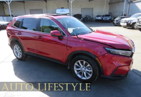 Picture of 2023 Honda CR-V