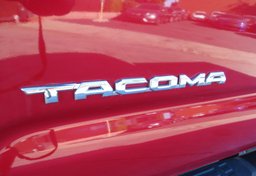 2019 Toyota Tacoma - Thumbnail 20
