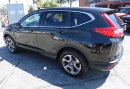 2019 Honda CR-V - Thumbnail 5