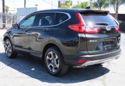 2019 Honda CR-V - Thumbnail 7