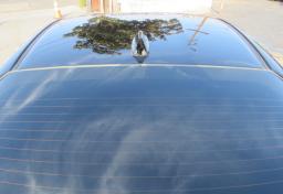 2023 Toyota GR86 - Thumbnail 15