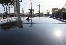 2017 BMW X5 - Thumbnail 15