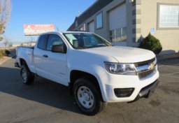 2019 Chevrolet Colorado - Thumbnail 1
