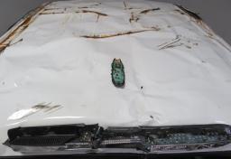 2023 Toyota Tundra - Thumbnail 14