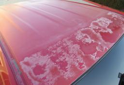 2013 Toyota Tacoma - Thumbnail 17