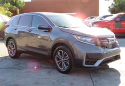 2020 Honda CR-V - Thumbnail 3