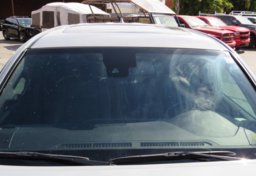 2019 Toyota Tacoma 4WD - Thumbnail 13