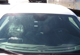 2020 Dodge Challenger - Thumbnail 13