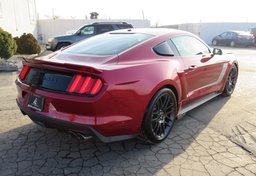 2015 Ford Mustang Roush - Thumbnail 10