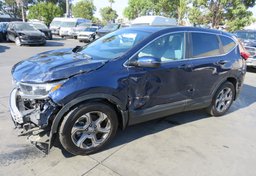 2019 Honda CR-V - Thumbnail 2
