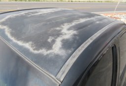 2007 Toyota Tacoma - Thumbnail 14