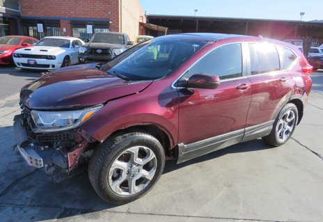 Picture of 2019 Honda CR-V