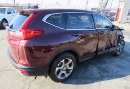 2019 Honda CR-V - Thumbnail 8