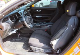 2019 Ford Mustang - Thumbnail 26