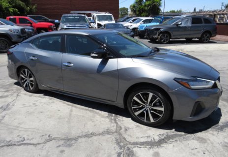 Picture of 2021 Nissan Maxima