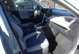 2019 Toyota RAV4 - Thumbnail 27