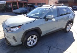 2019 Toyota RAV4 - Thumbnail 2