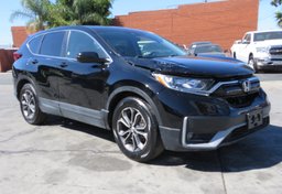 2021 Honda CR-V - Thumbnail 2