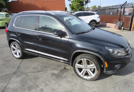 Picture of 2014 Volkswagen Tiguan